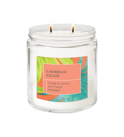 Caribbean Escape<br> Signature 2-wick Candle